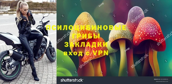 хмурый Абинск