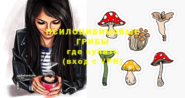 хмурый Абинск