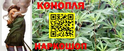 бошки Пенза