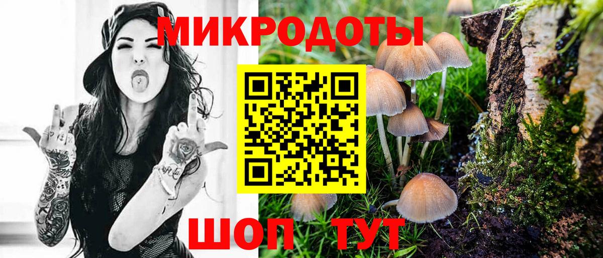 Псилоцибиновые грибы Psilocybine cubensis Севастополь
